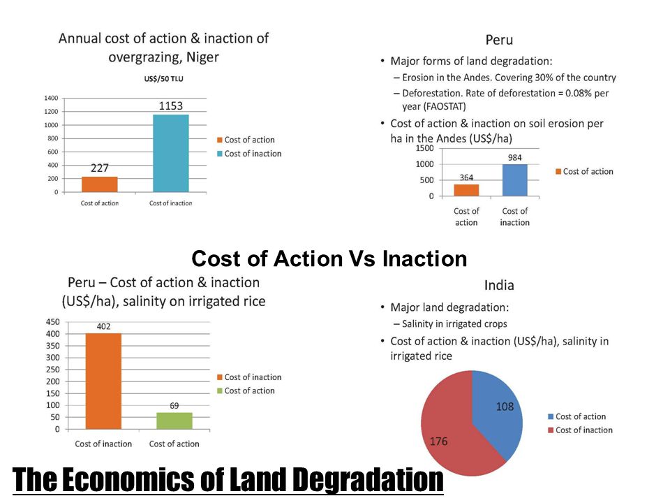 Cost of Action Vs Inaction