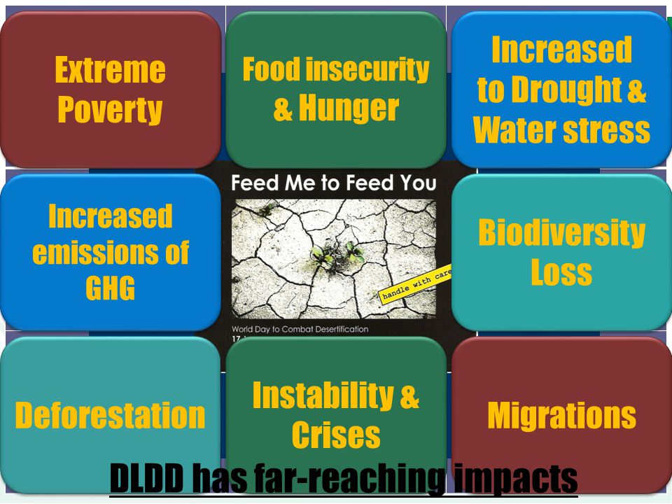 DLDD has far-reaching impacts