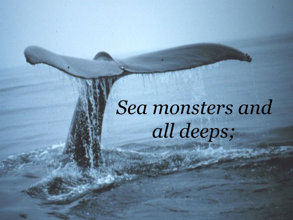 Sea monsters and all deeps;