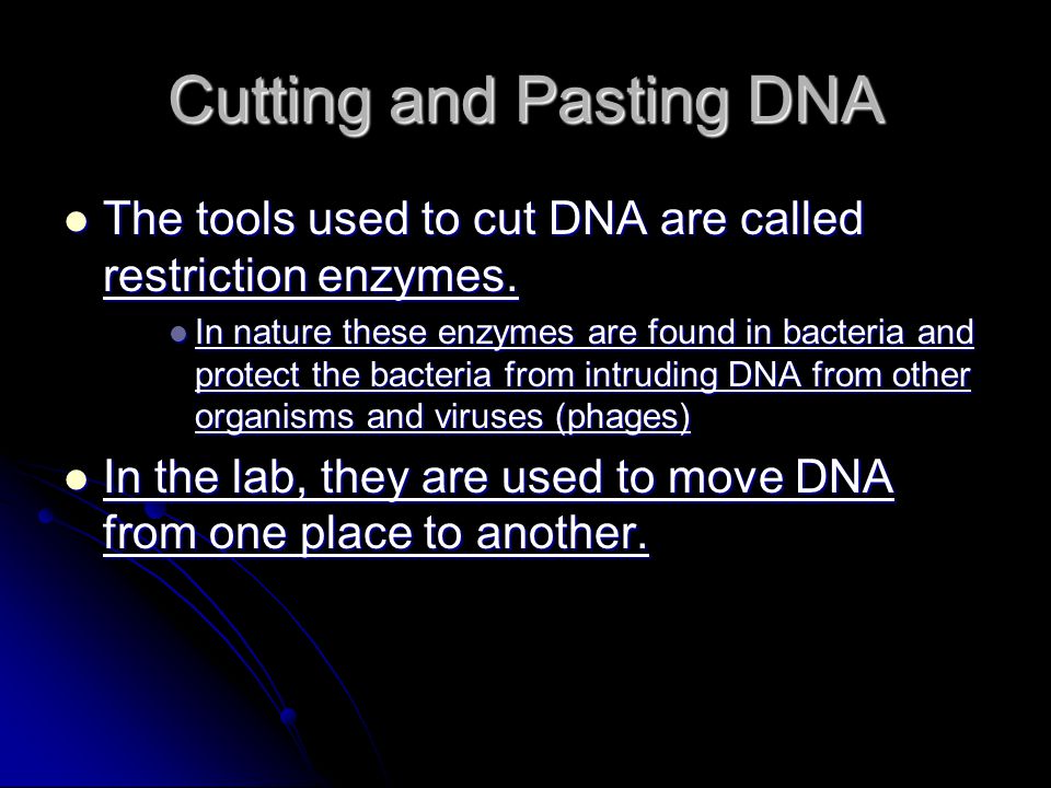 Cutting and Pasting DNA