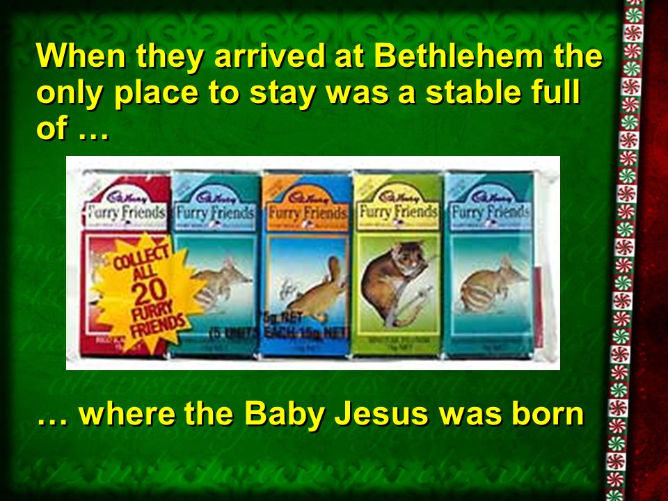 When they arrived at Bethlehem the only place to stay was a stable full of …