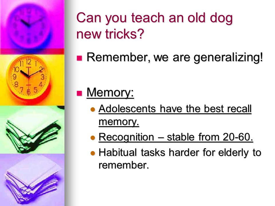 Can you teach an old dog new tricks