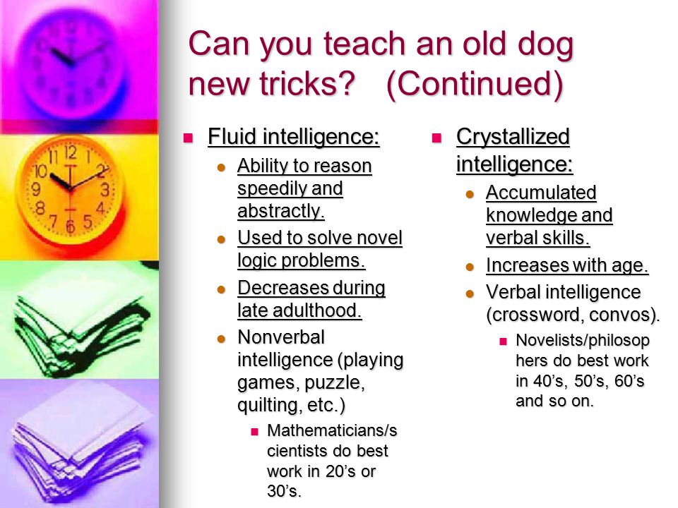 Can you teach an old dog new tricks (Continued)