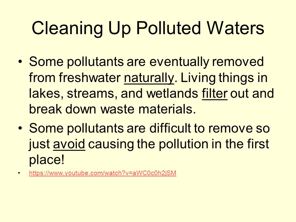 Cleaning Up Polluted Waters
