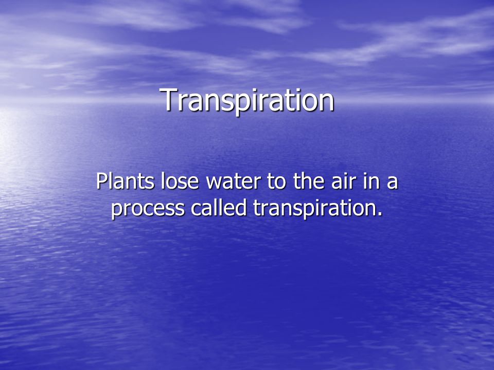 Plants lose water to the air in a process called transpiration.