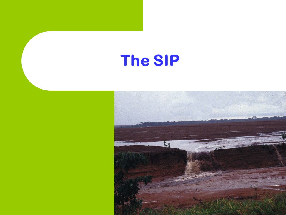 The SIP