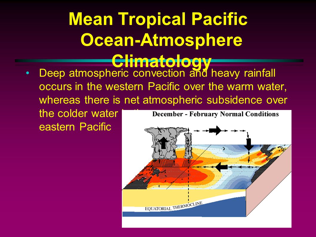 Mean Tropical Pacific Ocean-Atmosphere Climatology