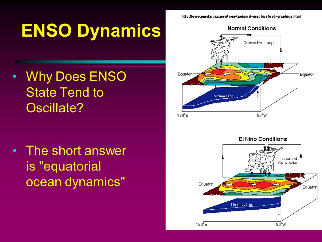 ENSO Dynamics Why Does ENSO State Tend to Oscillate
