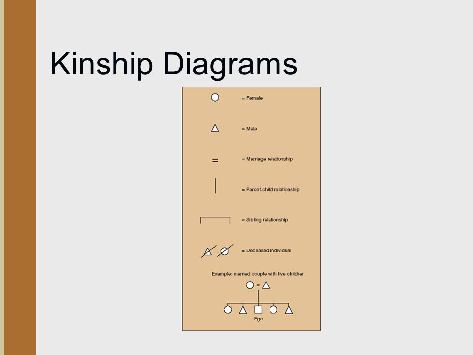 Kinship Diagrams Figure 8.1 Symbols Used on Kinship Diagrams