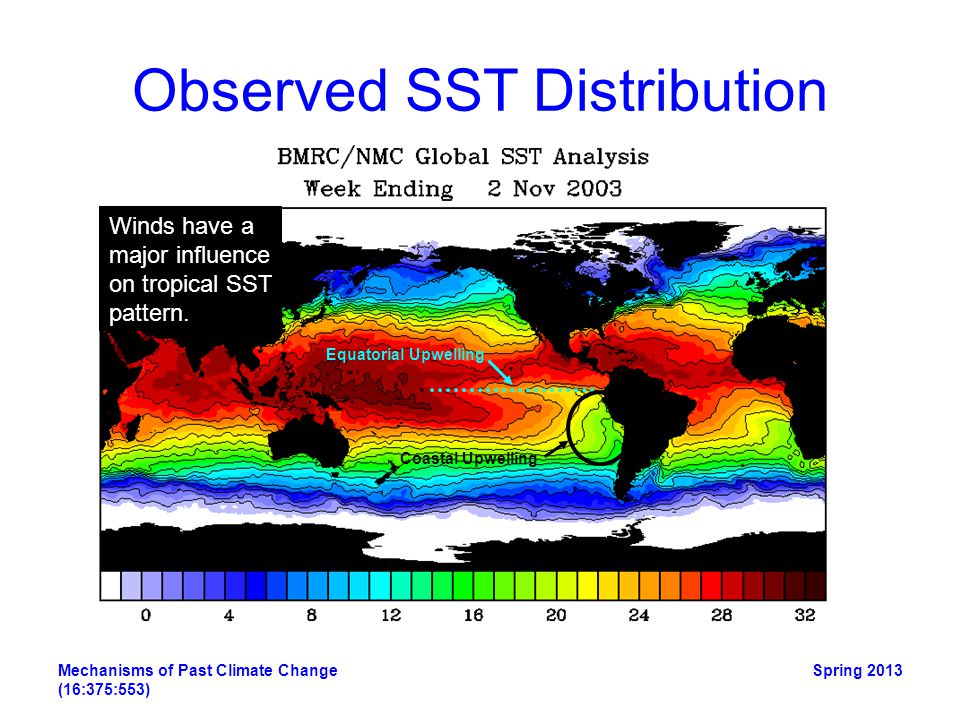 Observed SST Distribution