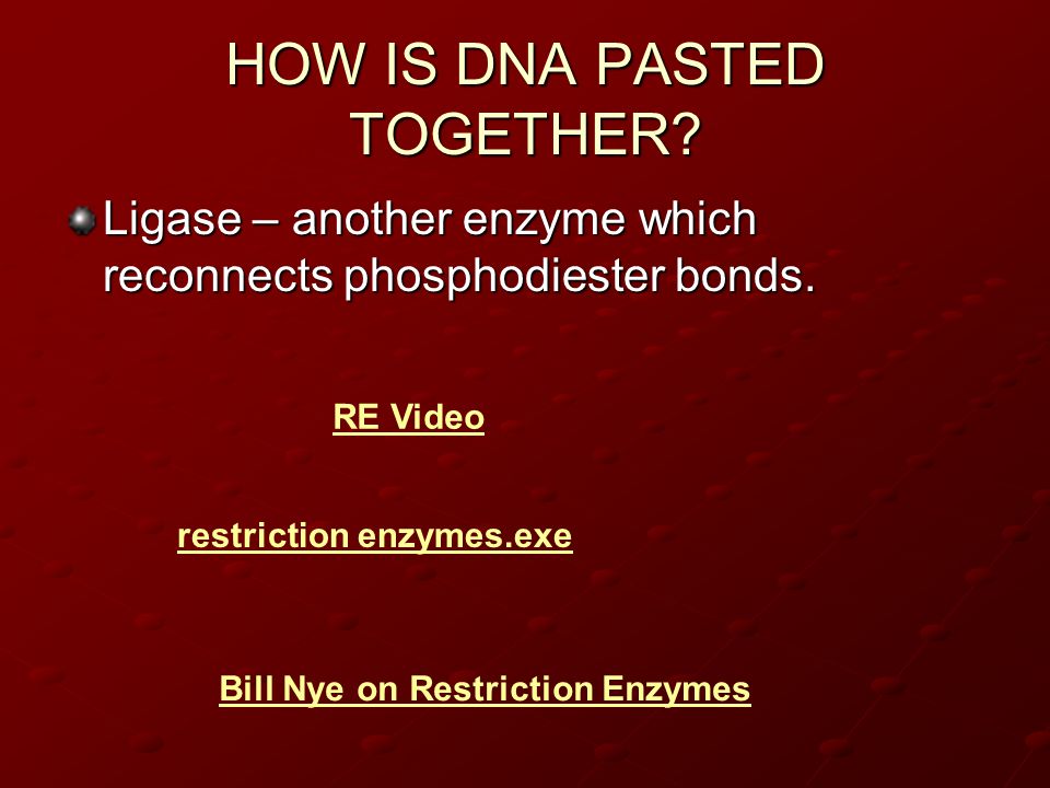 HOW IS DNA PASTED TOGETHER