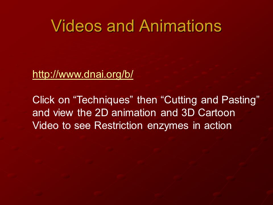 Videos and Animations