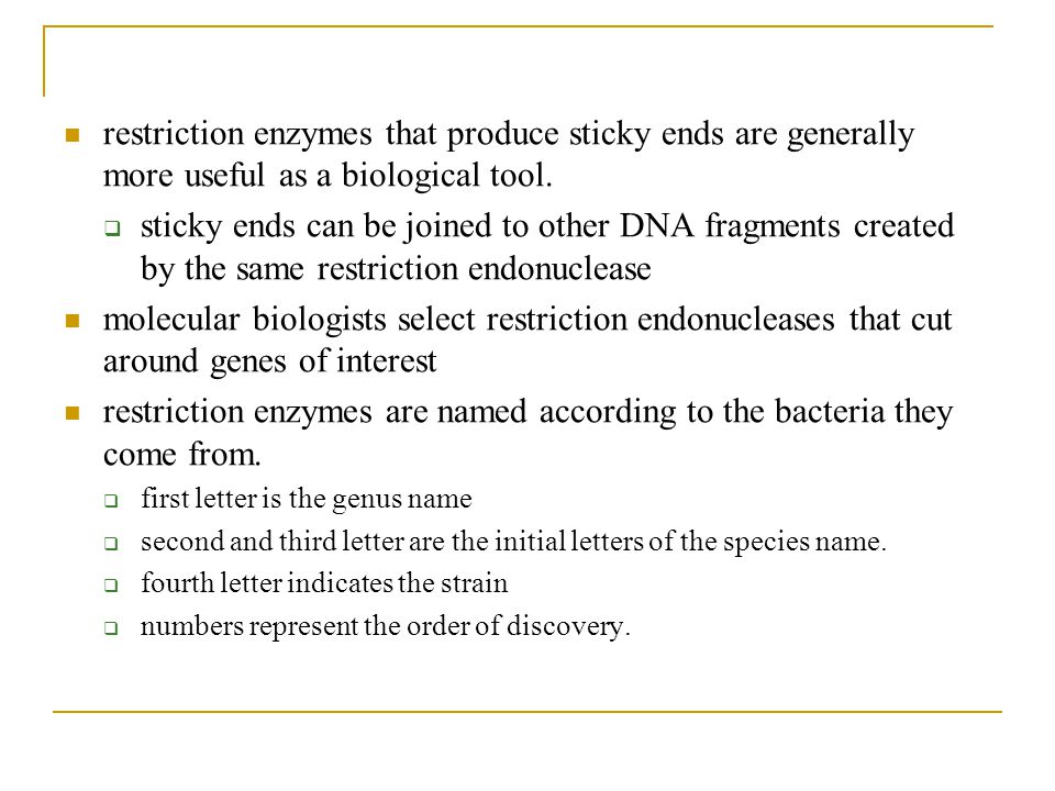 restriction enzymes that produce sticky ends are generally more useful as a biological tool.