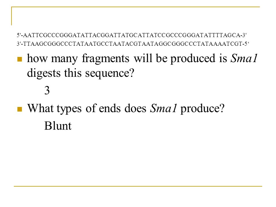 how many fragments will be produced is Sma1 digests this sequence 3