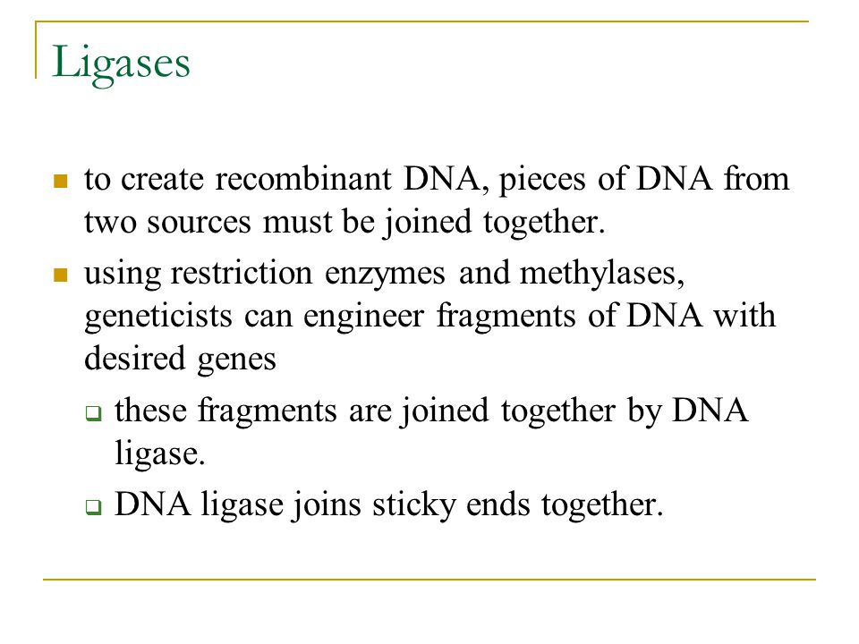 Ligases to create recombinant DNA, pieces of DNA from two sources must be joined together.