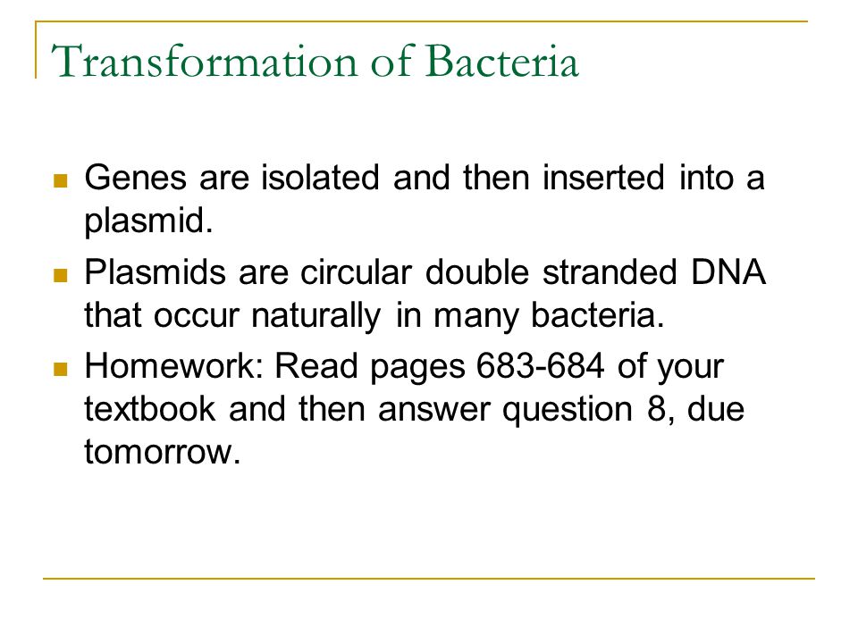 Transformation of Bacteria