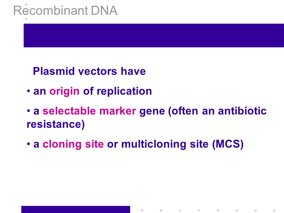 Recombinant DNA Plasmid vectors have an origin of replication