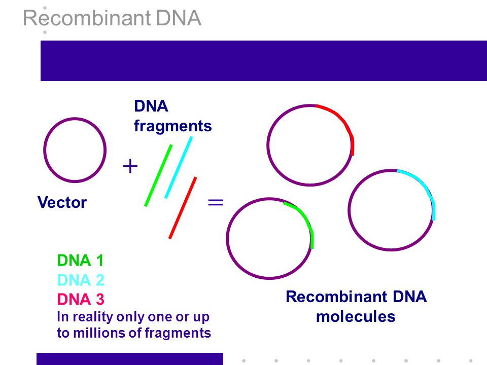Recombinant DNA molecules