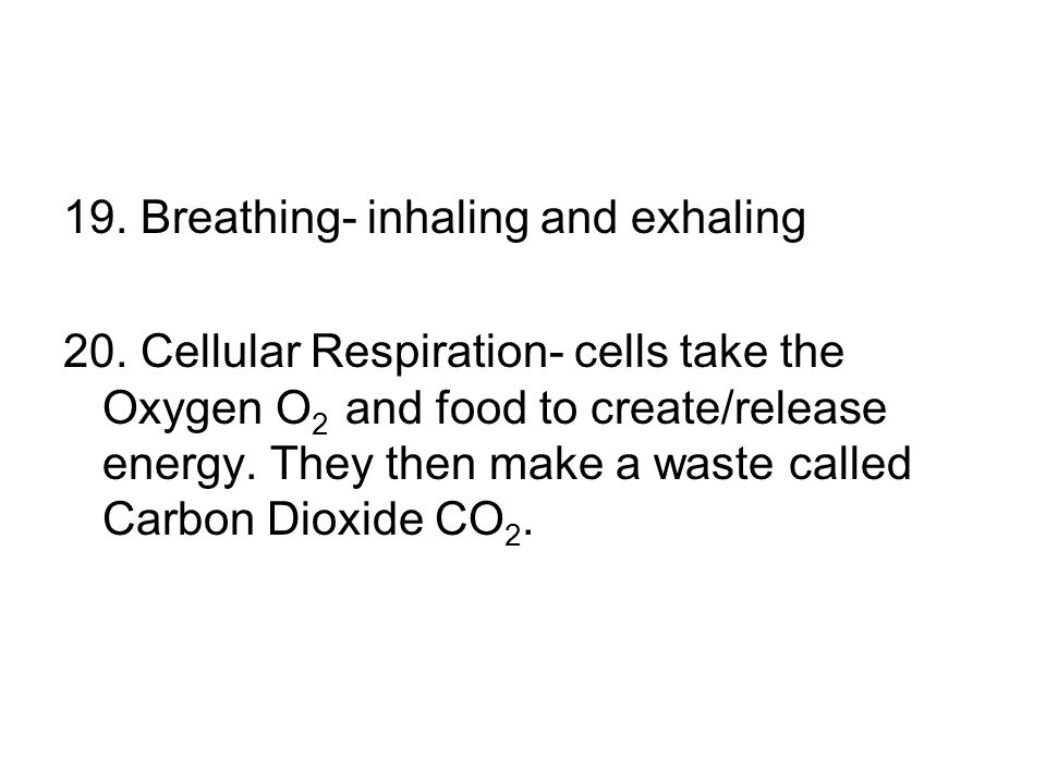 19. Breathing- inhaling and exhaling