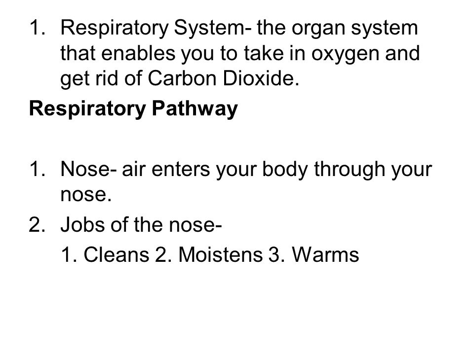 Respiratory System- the organ system that enables you to take in oxygen and get rid of Carbon Dioxide.