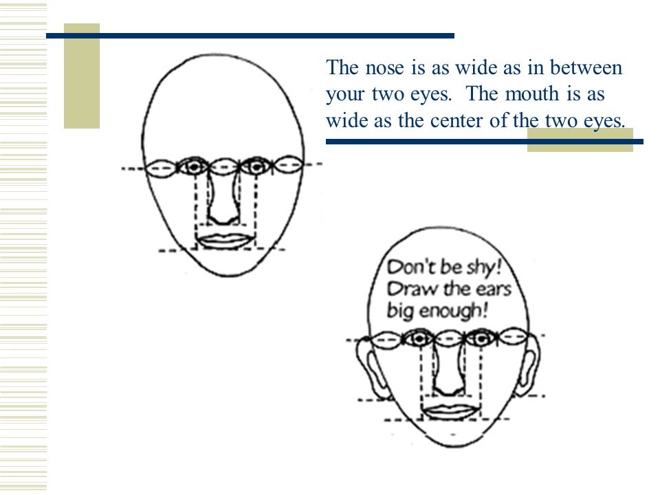 The nose is as wide as in between your two eyes