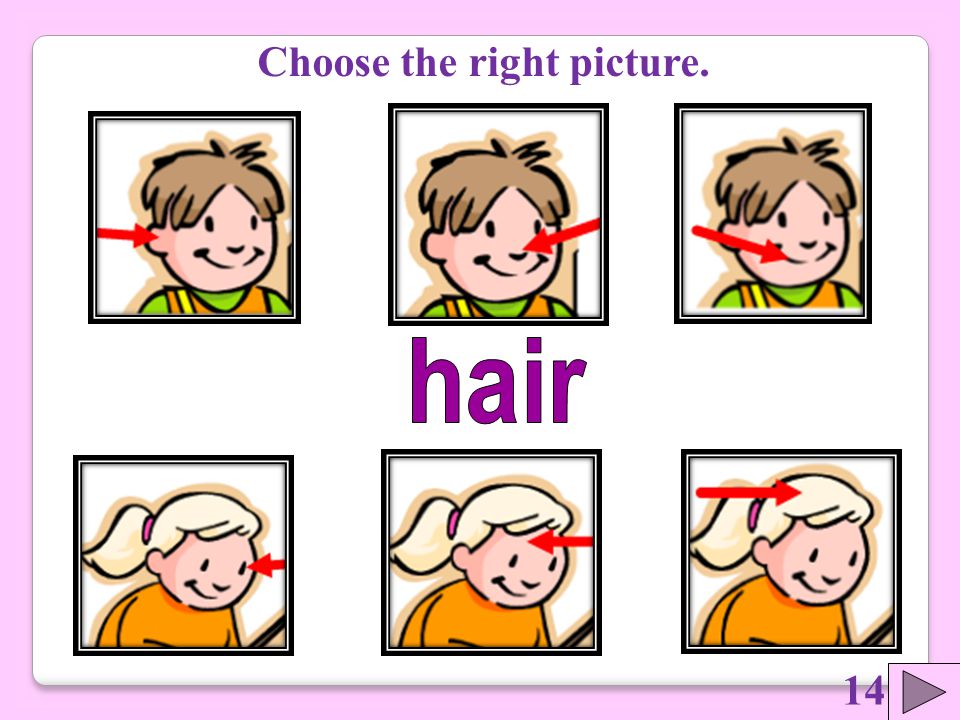 Choose the right picture.