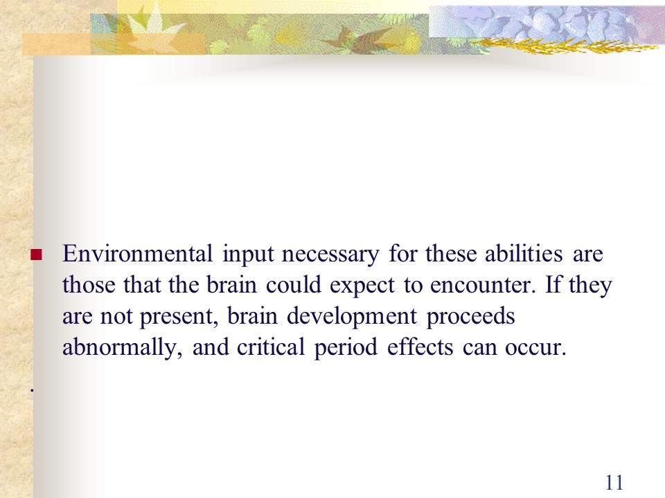 Environmental input necessary for these abilities are those that the brain could expect to encounter. If they are not present, brain development proceeds abnormally, and critical period effects can occur.