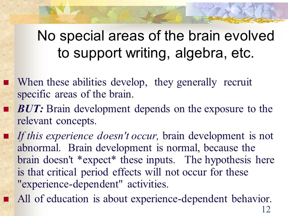 No special areas of the brain evolved to support writing, algebra, etc.