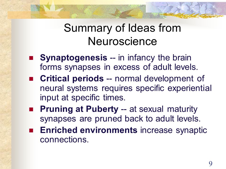 Summary of Ideas from Neuroscience