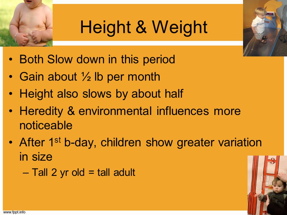 Height & Weight Both Slow down in this period