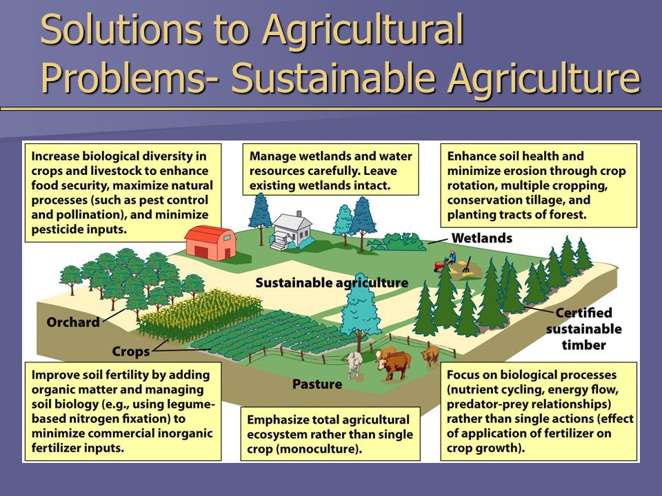 Solutions to Agricultural Problems- Sustainable Agriculture