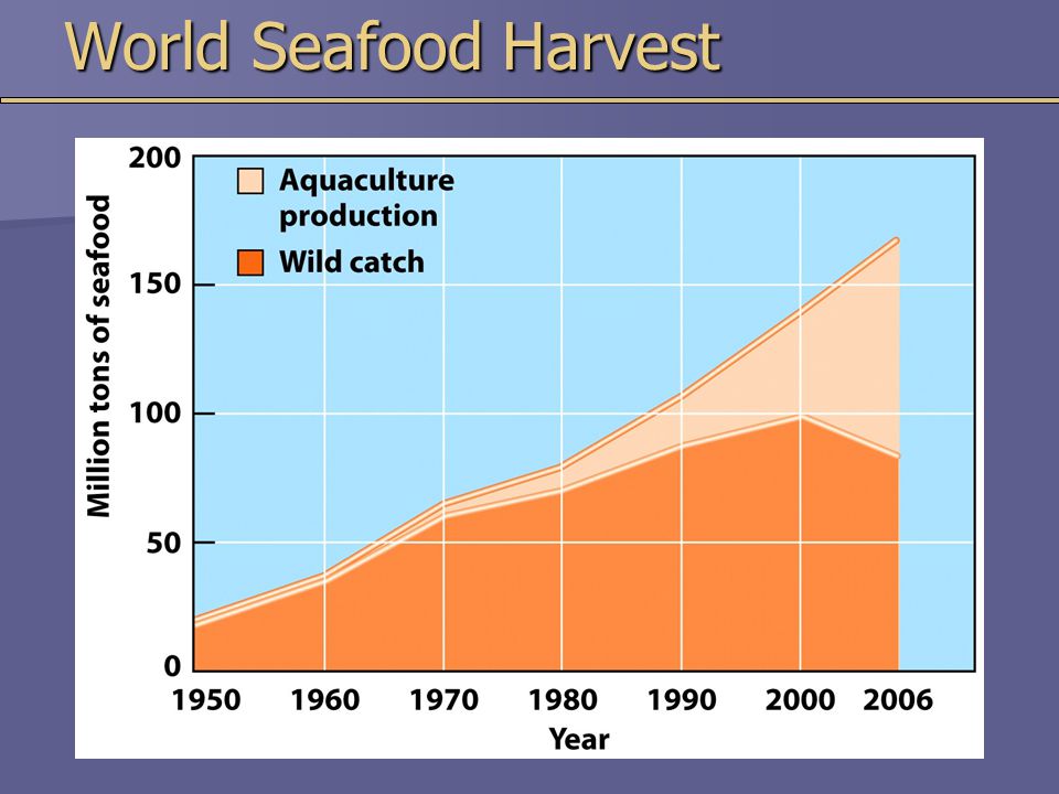 World Seafood Harvest