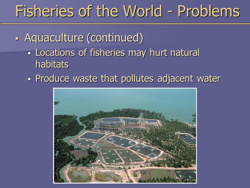 Fisheries of the World - Problems
