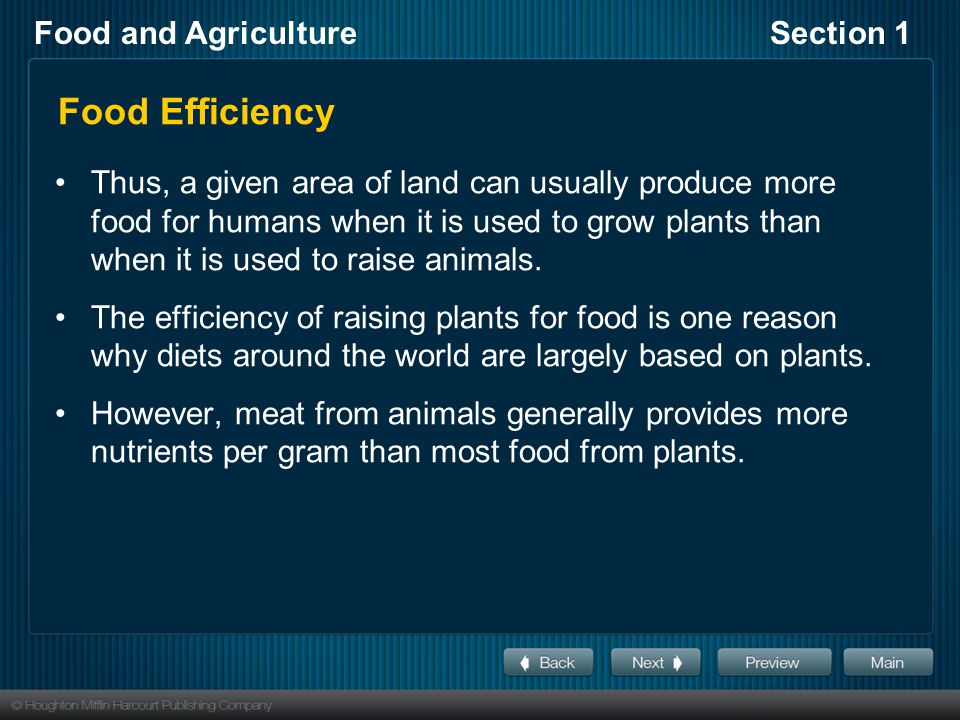 Food Efficiency