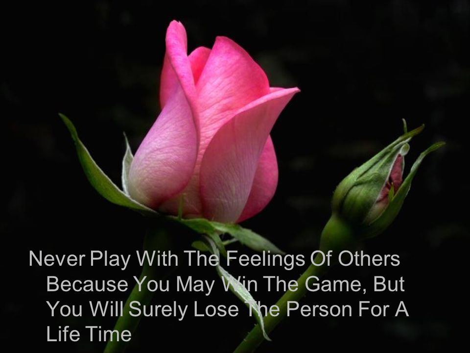 Never Play With The Feelings Of Others Because You May Win The Game, But You Will Surely Lose The Person For A Life Time