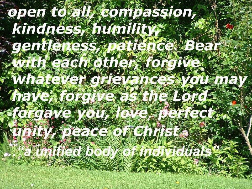 open to all, compassion, kindness, humility, gentleness, patience