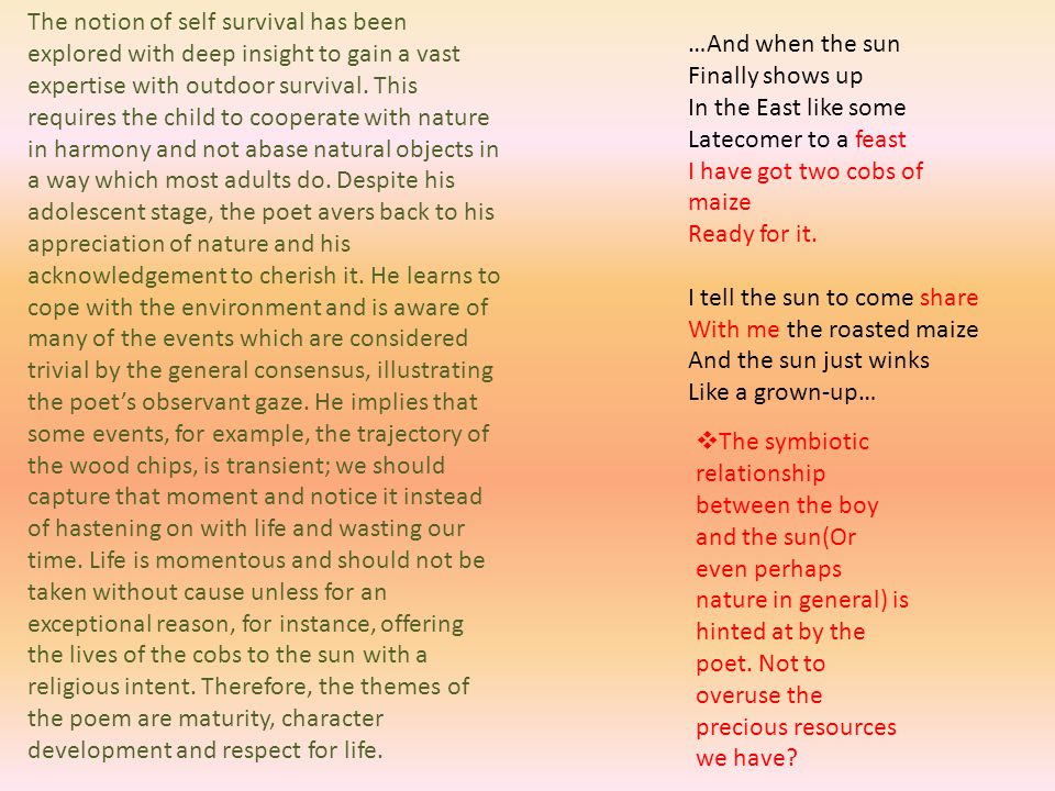 The notion of self survival has been explored with deep insight to gain a vast expertise with outdoor survival. This requires the child to cooperate with nature in harmony and not abase natural objects in a way which most adults do. Despite his adolescent stage, the poet avers back to his appreciation of nature and his acknowledgement to cherish it. He learns to cope with the environment and is aware of many of the events which are considered trivial by the general consensus, illustrating the poet’s observant gaze. He implies that some events, for example, the trajectory of the wood chips, is transient; we should capture that moment and notice it instead of hastening on with life and wasting our time. Life is momentous and should not be taken without cause unless for an exceptional reason, for instance, offering the lives of the cobs to the sun with a religious intent. Therefore, the themes of the poem are maturity, character development and respect for life.