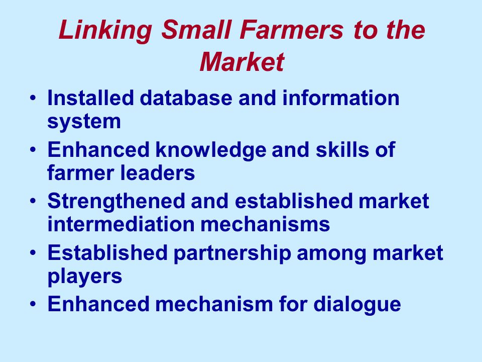 Linking Small Farmers to the Market