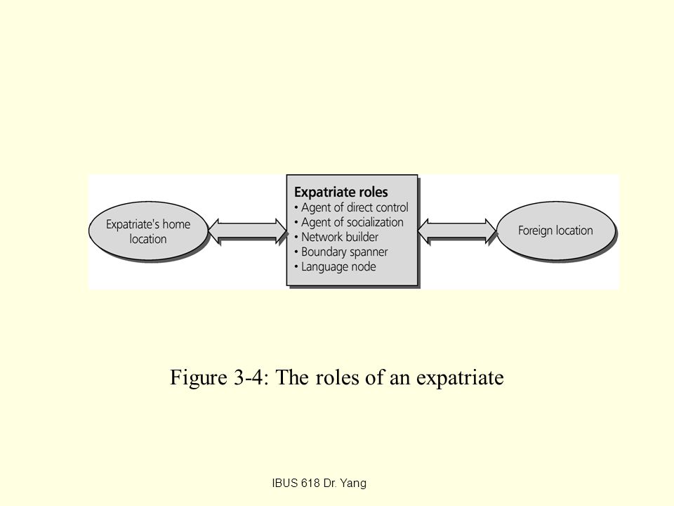 Figure 3-4: The roles of an expatriate