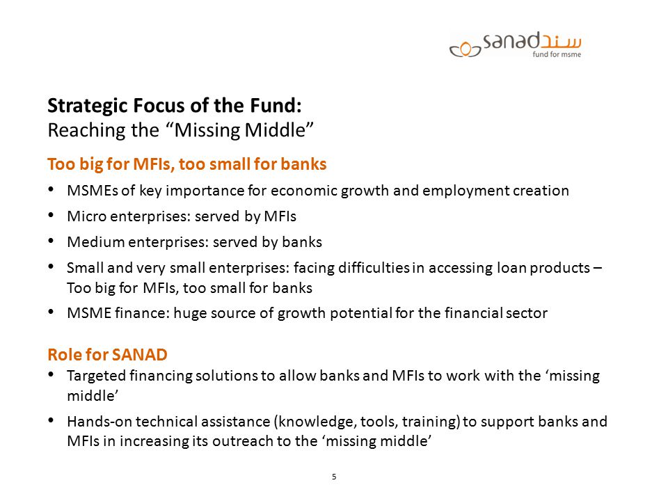 Strategic Focus of the Fund: Reaching the Missing Middle