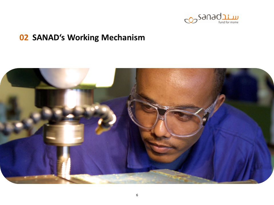 SANAD‘s Working Mechanism