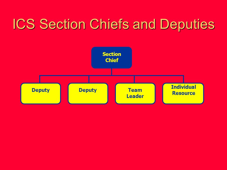ICS Section Chiefs and Deputies
