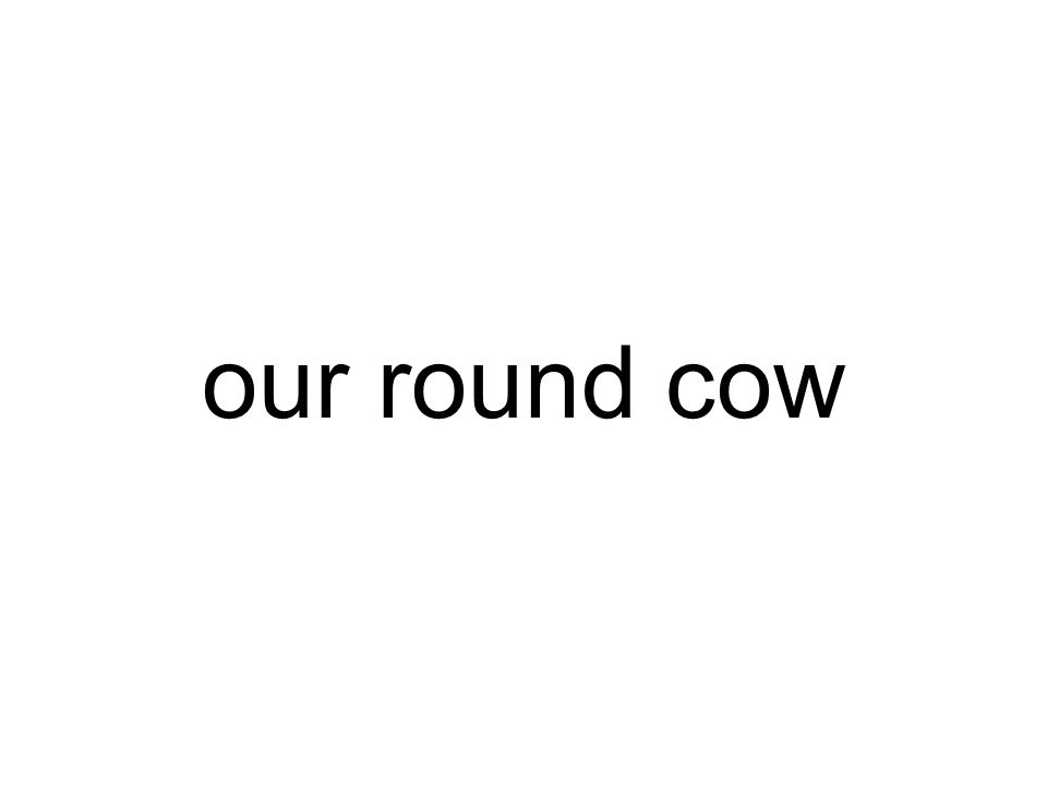 our round cow