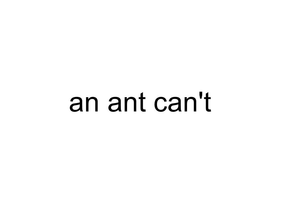 an ant can t
