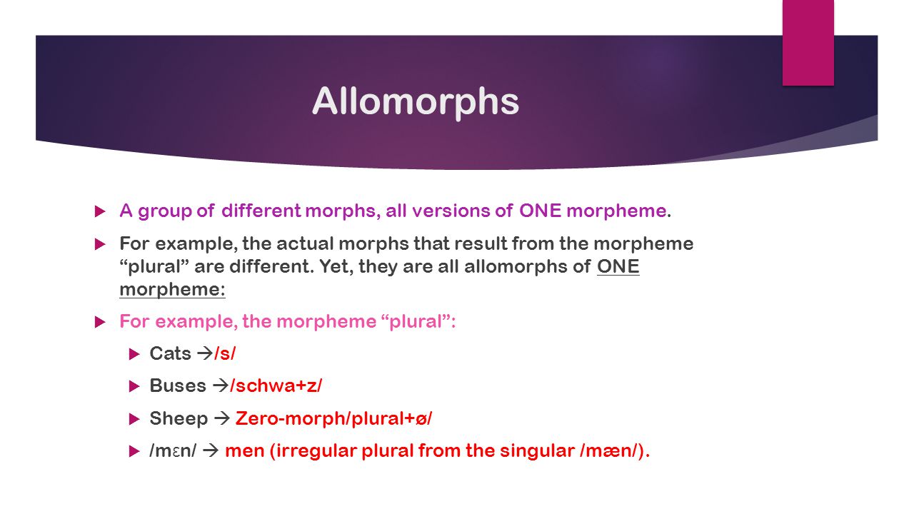 Allomorphs A group of different morphs, all versions of ONE morpheme.