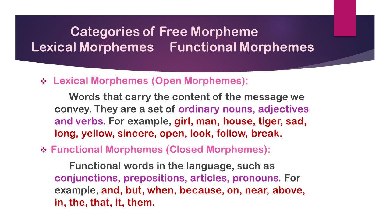 Categories of Free Morpheme Lexical Morphemes Functional Morphemes