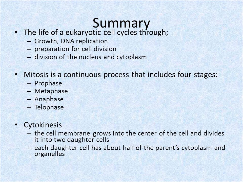 Summary The life of a eukaryotic cell cycles through;