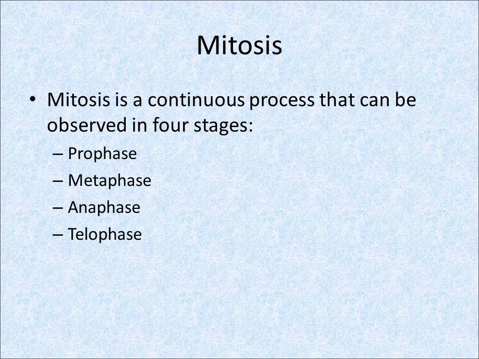 Mitosis Mitosis is a continuous process that can be observed in four stages: Prophase. Metaphase.