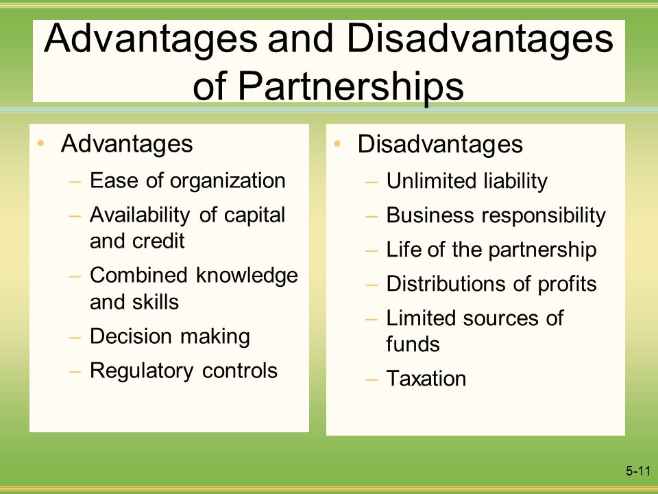 Advantages And Disadvantages Of A Non Profit Organizations