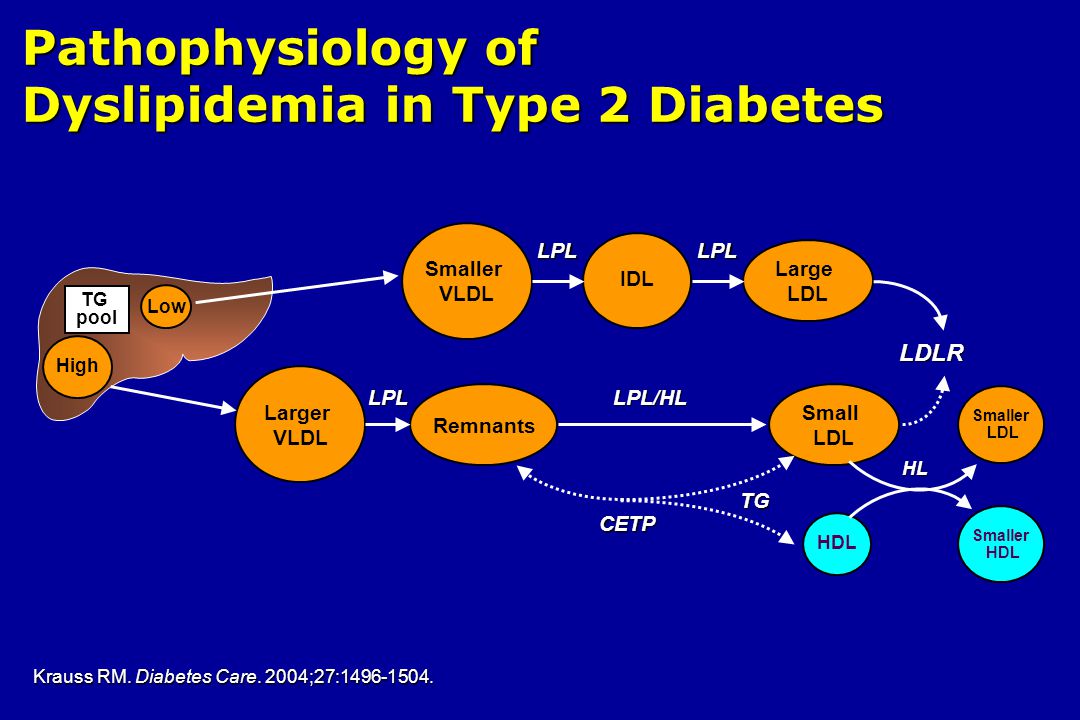 Pathophysiology of Dyslipidemia in Type 2 Diabetes